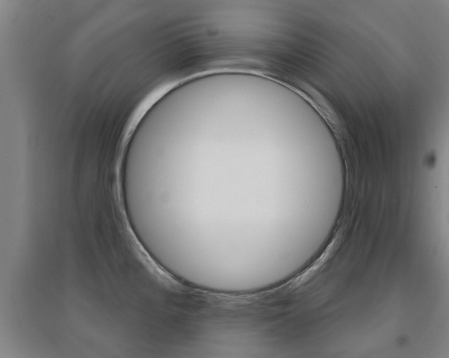 X0000094461196200711081051