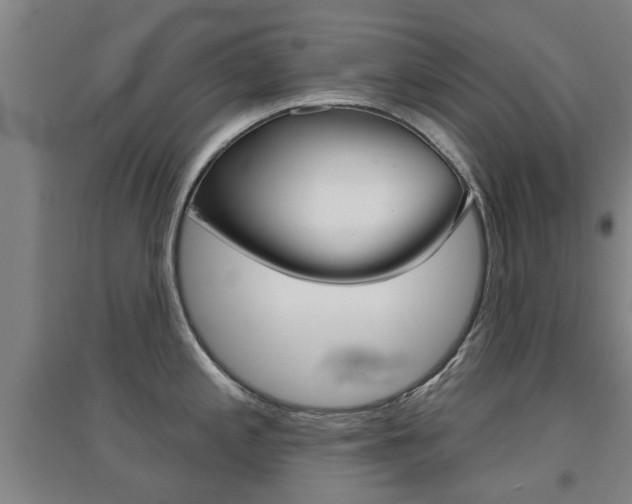X0000094461197200711081051