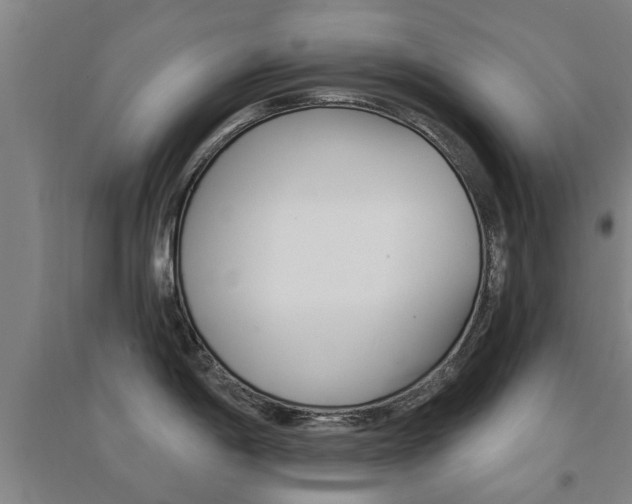 X0000094461198200711081051