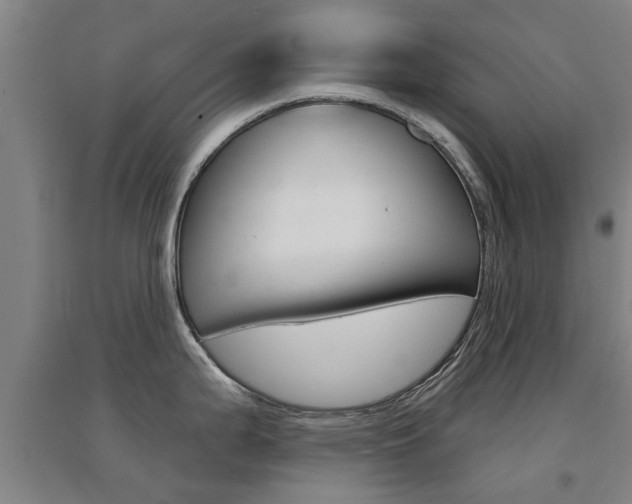 X0000094461199200711081051