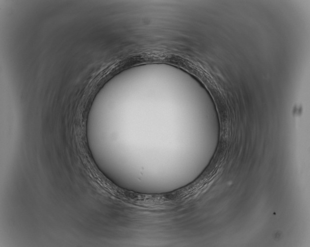 X0000094461201200711081051