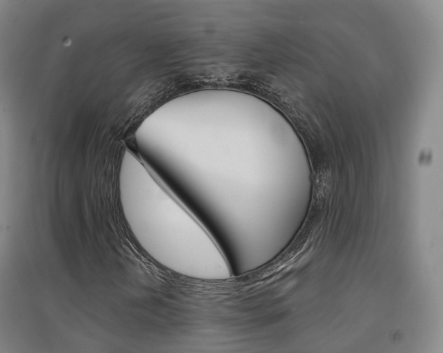 X0000094461202200711081051