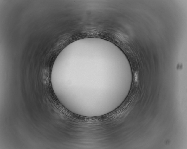 X0000094461203200711081051