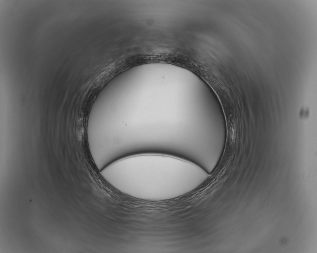 X0000094461204200711081051