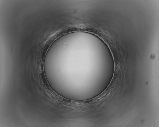 X0000094461205200711081051