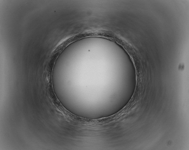 X0000094461206200711081051