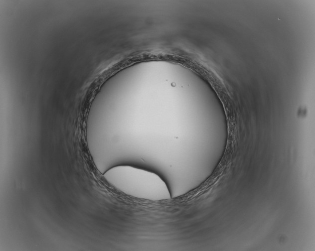 X0000094461207200711081051