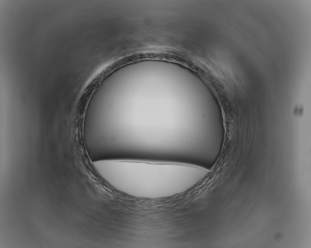X0000094461208200711081051