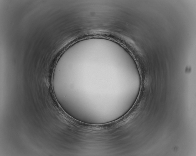 X0000094461209200711081051