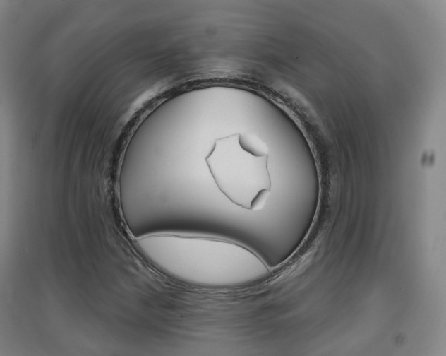 X0000094461210200711081051