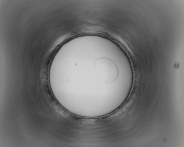 X0000094461211200711081051