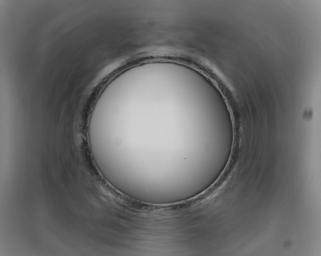 X0000094461213200711081051