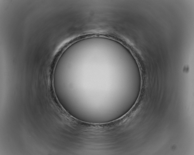 X0000094461214200711081051