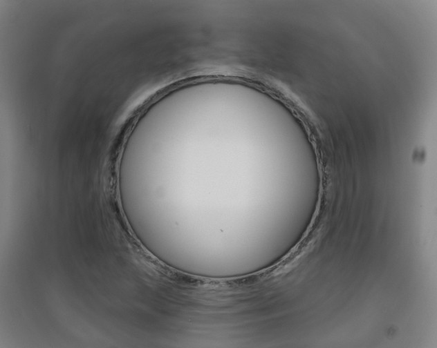 X0000094461215200711081051