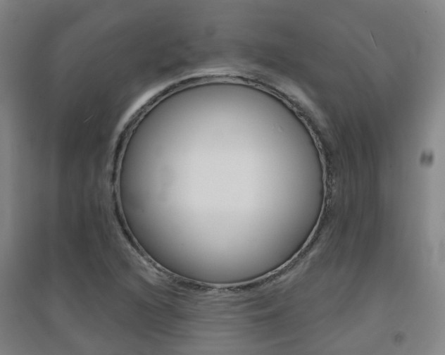 X0000094461216200711081051