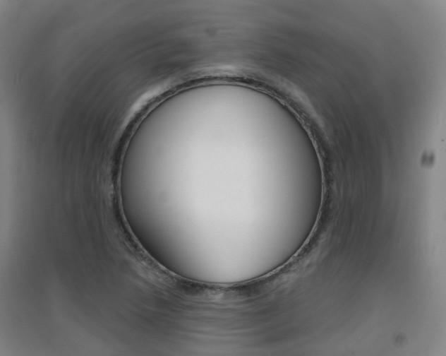 X0000094461218200711081051