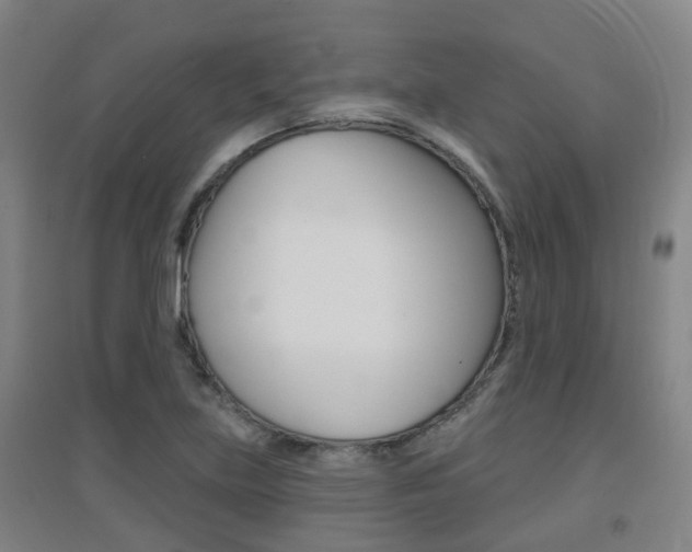 X0000094461219200711081051