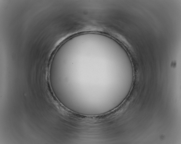X0000094461220200711081051