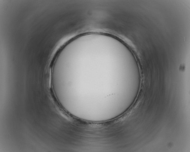 X0000094461223200711081051