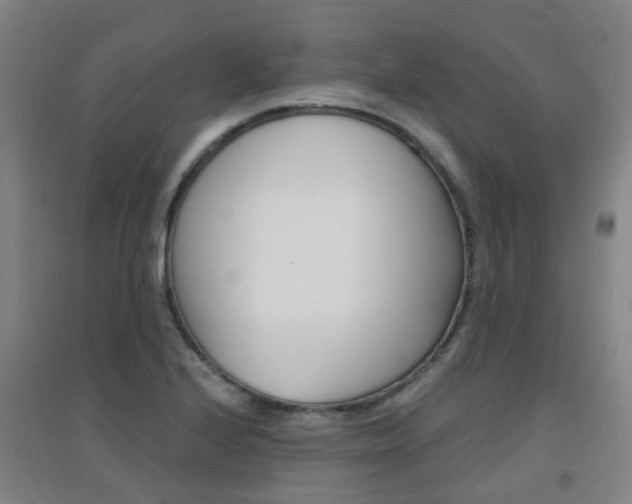 X0000094461224200711081051