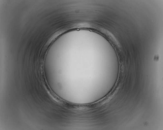 X0000094461225200711081051