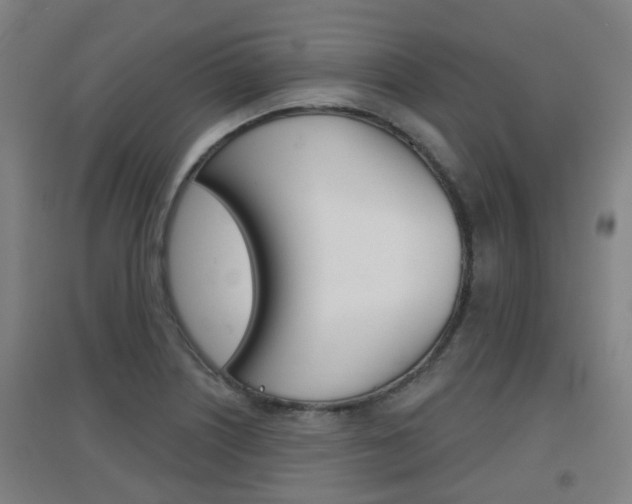 X0000094461226200711081051