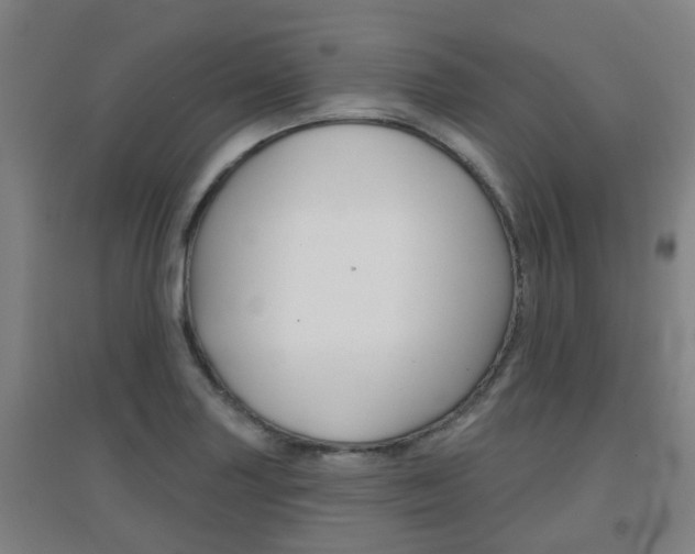 X0000094461227200711081051