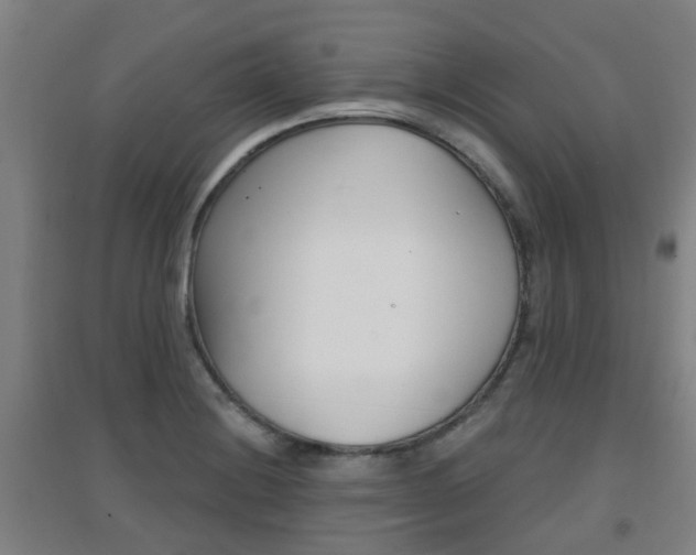 X0000094461228200711081051