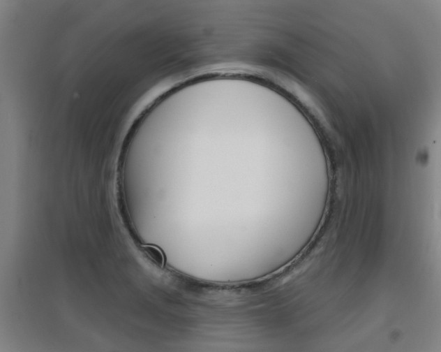 X0000094461229200711081051