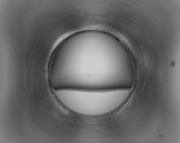 X0000094461230200711081051