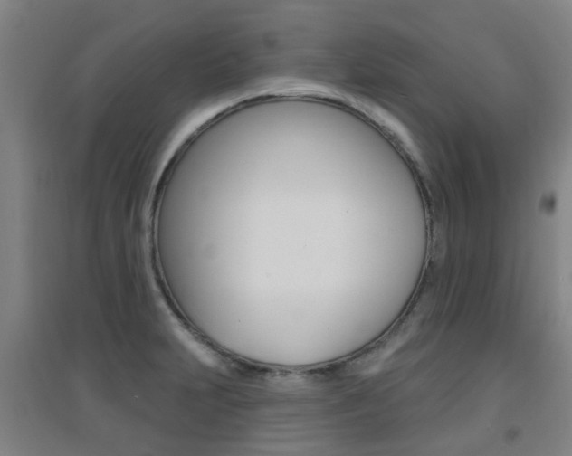 X0000094461231200711081051