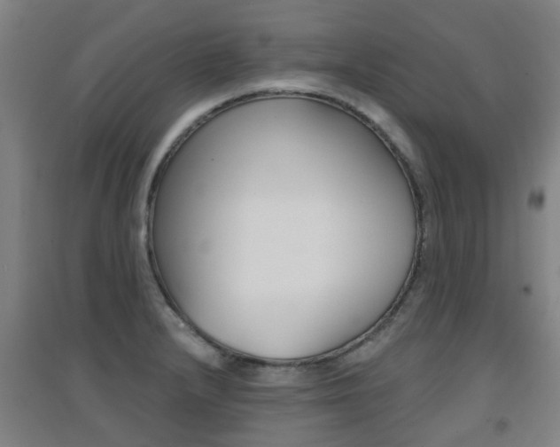 X0000094461232200711081051
