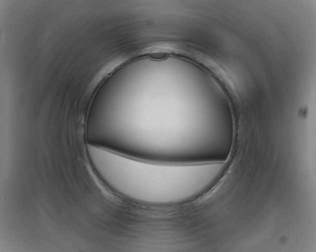 X0000094461233200711081051