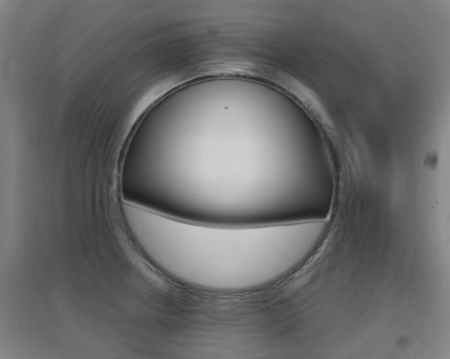 X0000094461234200711081051