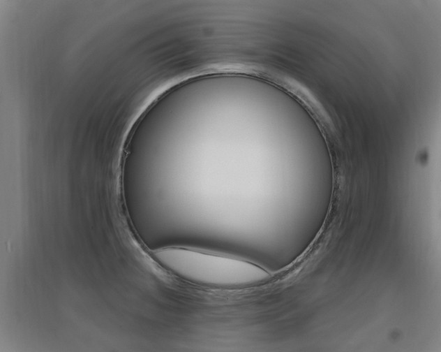 X0000094461236200711081051