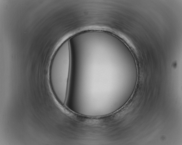 X0000094461237200711081051