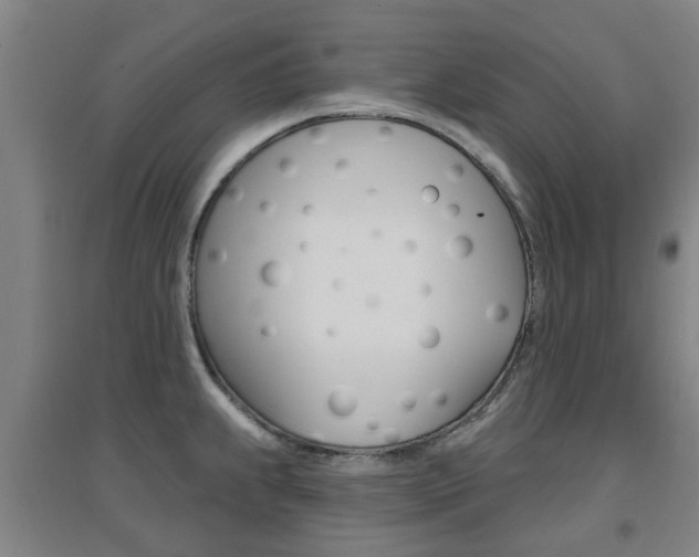 X0000094461239200711081051