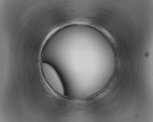 X0000094461240200711081051