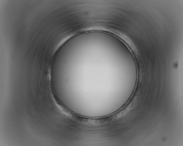 X0000094461241200711081051