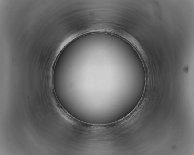 X0000094461242200711081051