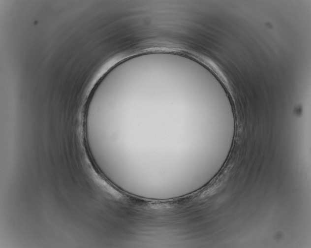 X0000094461243200711081051