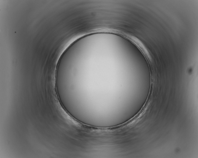 X0000094461244200711081051