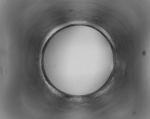 X0000094461245200711081051