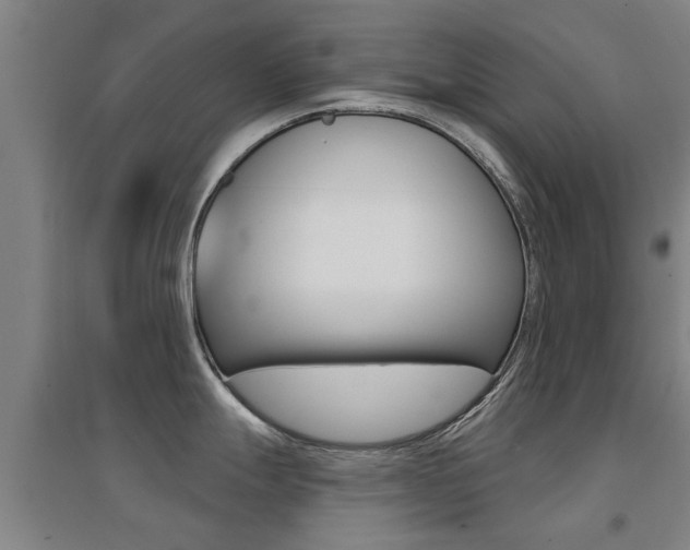 X0000094461247200711081051
