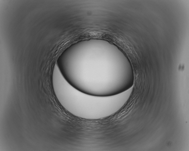 X0000094461249200711081051