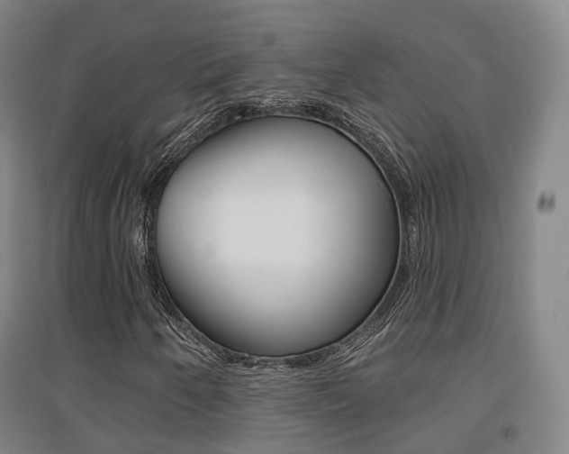 X0000094461250200711081051