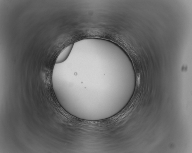 X0000094461251200711081051
