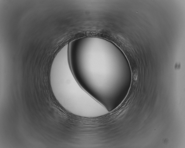 X0000094461252200711081051
