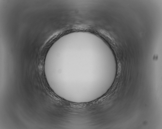 X0000094461254200711081051