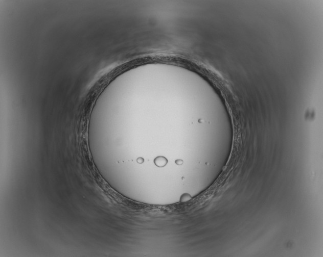X0000094461255200711081051